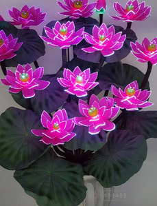 광섬유꽃-12송이 연꽃 (분홍)