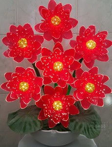 광섬유꽃-천상화 (빨강)