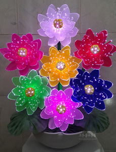 광섬유꽃-천상화 (칼라)