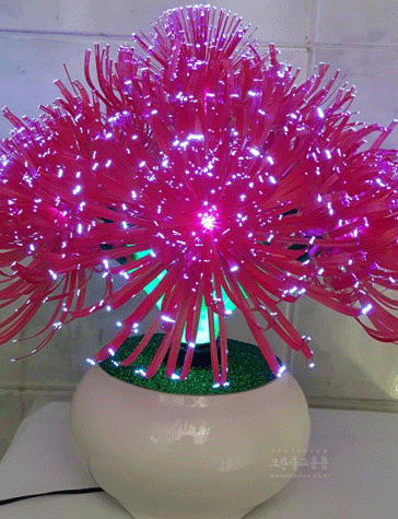 광섬유꽃-천상화 동자꽃 (빨강)