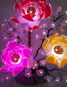 광섬유꽃-3송이 연꽃매화 (칼라)